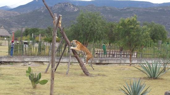 Museo de Pintores Oaxaqueños